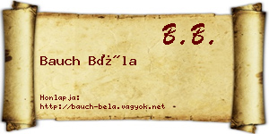 Bauch Béla névjegykártya